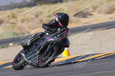 media/Nov-11-2023-SoCal Trackdays (Sat) [[efd63766ff]]/Turn 16 (11am)/